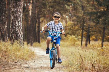 Funny boy cyclist rides in the sunny forest on a bike. Adventure travel.