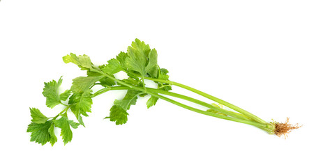 Fresh celery with root isolated on white background ,green leaves pattern