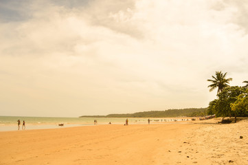 Beautiful beach from brazilian coast