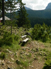 hiking trail in the mountains