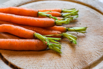Fresh washed carrots from home grown vegetable patch