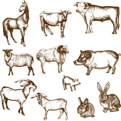 Monochrome vector farm animals set illustration.