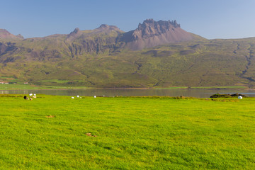 Fototapeta na wymiar View of the coast of the Berufjordur fjord, at Pjodvegur, Iceland.
