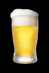 Beer with foam in cold tulip