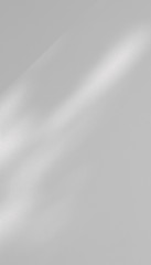 shadow on white wall with light from the window in the room