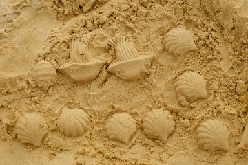 Molding sand shaped shells on the beach