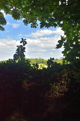 working Leicestershire countryside sights.