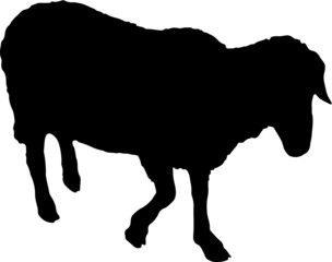 Sheep Silhouette