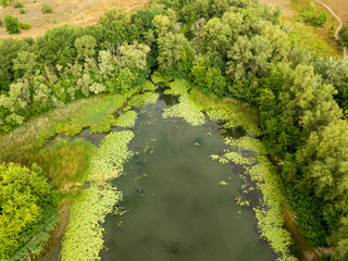 Aerial view. Green bank of the Dnieper river on a summer day.