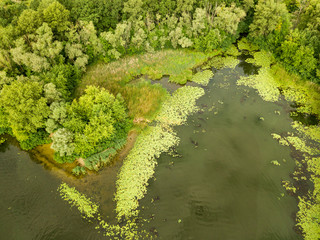 Aerial view. Green bank of the Dnieper river on a summer day.