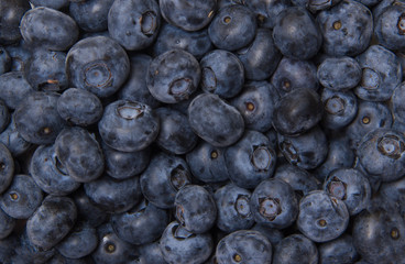 close-up of fresh blueberries. fruit wallaper. fresh berries