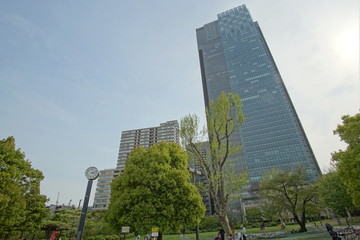 Plakat High-rise buildings and blue sky - Tokyo, Japan