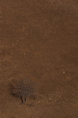 Alpes, montagne du côté de Bourg Saint Maurice