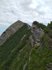 Naklejka premium Jägerkamp