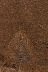 Alpes, montagne du côté de Bourg Saint Maurice