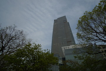 High-rise buildings and blue sky - Tokyo, Japan