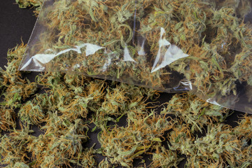 Package with cannabis buds on marijuana background close-up, copy space