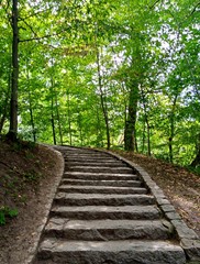 Obraz premium Summer landscape, path in the forest