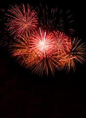 Amazing fireworks show in the dark sky