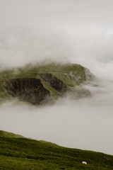 Mykines in the Faroe Islands - The Puffin Island