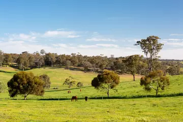 Foto op Plexiglas Country Landscape near Maldon Victoria Australia © FiledIMAGE
