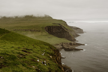 Mykines in the Faroe Islands - The Puffin Island