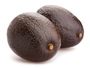 hass avocado