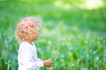 Little girl with white hair in the summer in the park holding a white dandelion in her hand