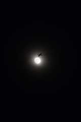Obraz na płótnie Canvas Airplane over the moon
