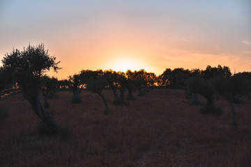 Foto del atardecer en el campo