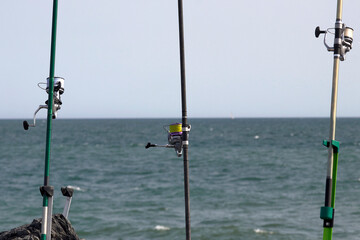 Grupo de cañas de pescar colocadas en la pica con el sedal y el anzuelo lanzado al mar.