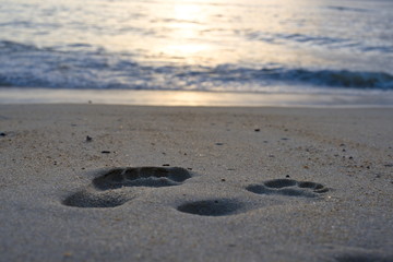 Fototapeta na wymiar Footsteps by the Sea