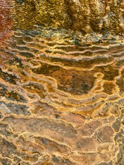 futuristic hot spring rock 