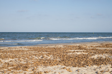 wild beach without people in spain