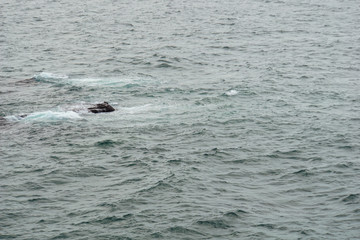 Seascape from the nature reserve 