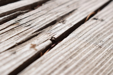 close up of old wood texture
