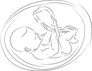 baby in the womb