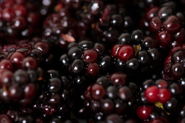 summer juicy blackberries or blueberries close up for cooking delicious and healthy food