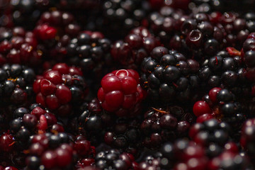 summer juicy blackberries or blueberries close up for cooking delicious and healthy food