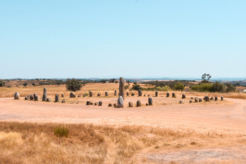 Obraz premium Foto de un cromeleque