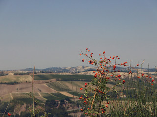suggestiva vista delle formazioni di calanchi di gesso in emilia romagna, vicino a brisighella in...