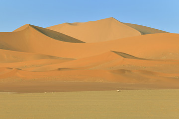 Fototapeta na wymiar SAHARA DESERT IN ALGERIA. SAND DUNES OF TIN MERZOUGA IN TADRART NATIONAL PARK. 
