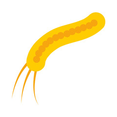 ebola filovirus icon, flat style
