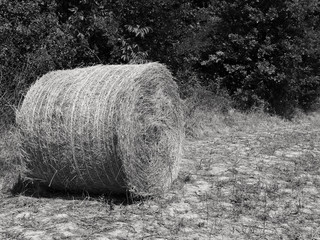 vista monocromatica di balla di fieno in campagna