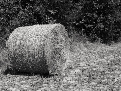 vista monocromatica di balla di fieno in campagna