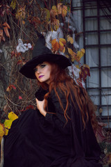 a girl in a black dress and a witch hat on Halloween with a black cat in the Park