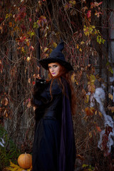 a girl in a black dress and a witch hat on Halloween with a black cat in the Park