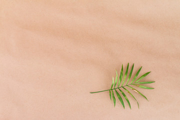 Damaged palm leaf against beige background with empty space for text
