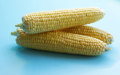 three large cobs of ripe corn on a blue background. Vitamins, vegetable diet, proper nutrition, healthy and balanced nutrition. Rich harvest from the garden