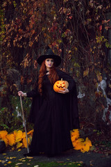 a girl in a black dress and a witch hat for Halloween with a pumpkin and a broom on a background of yellow leaves in a Park in the afternoon